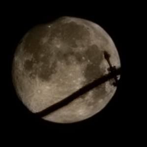 Meet your Posher, Autumn